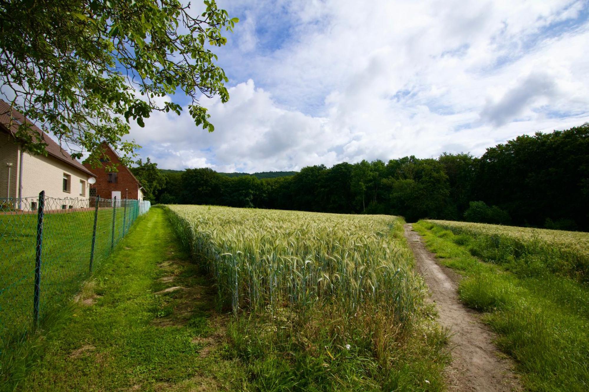 Ferienhaus Plattenberg Bad Oeynhausen Bagian luar foto